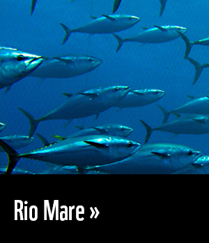 Rio Mare