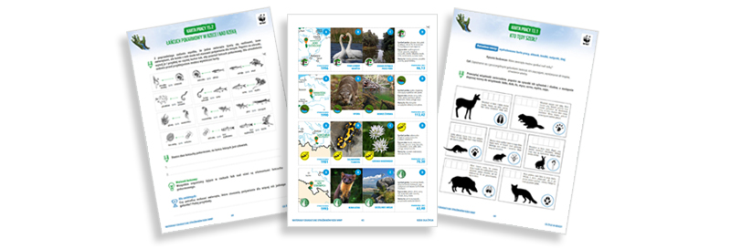 Karty Strażników Rzek WWF