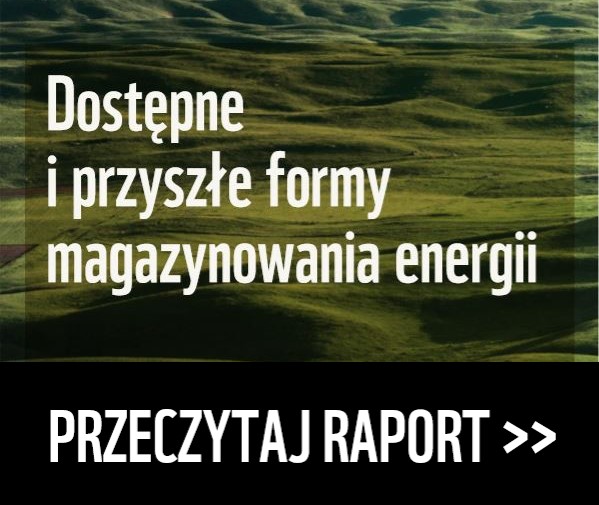 Przeczytaj raport