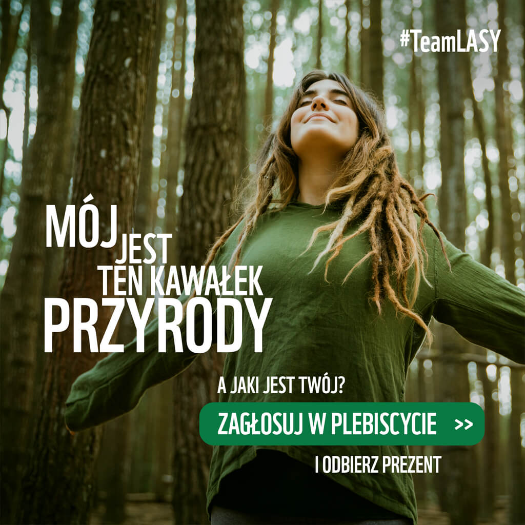 Kliknij aby zagłosować