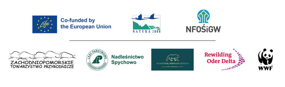 partnerzy w projekcie Expanding the range of the lynx population in northern Poland