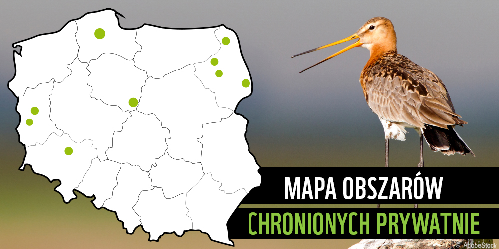 mapa obszarow chronionych