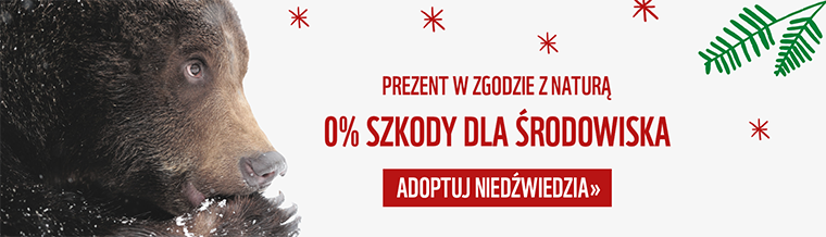 Adoptuj niedźwiedzia