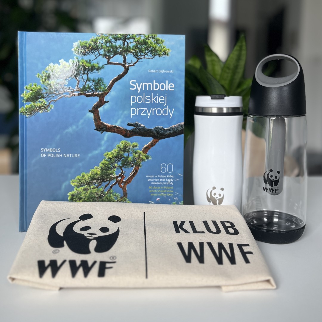 nagrody w konkursie  „Mój ulubiony park narodowy”