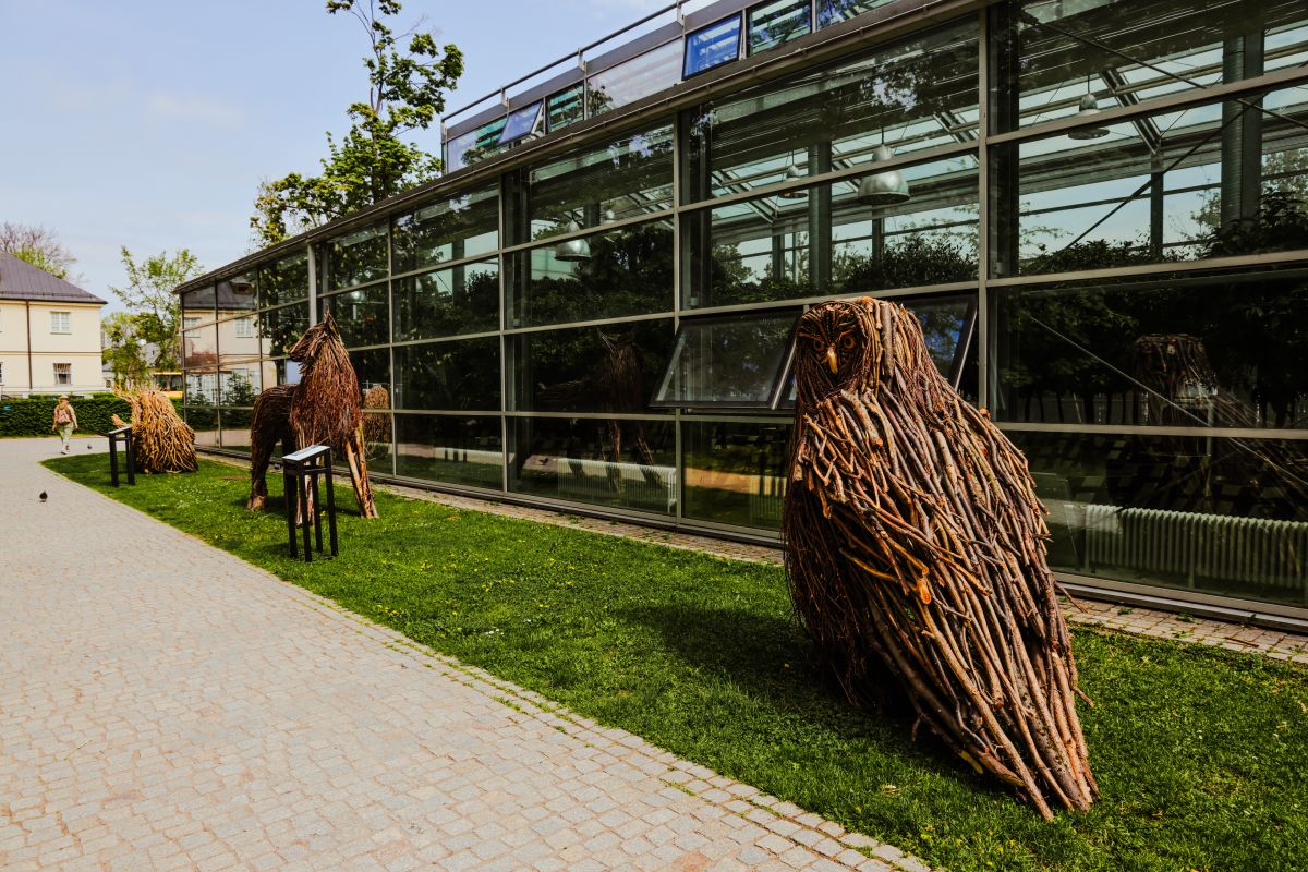 rzeżby WWF w łazienkach królewskich