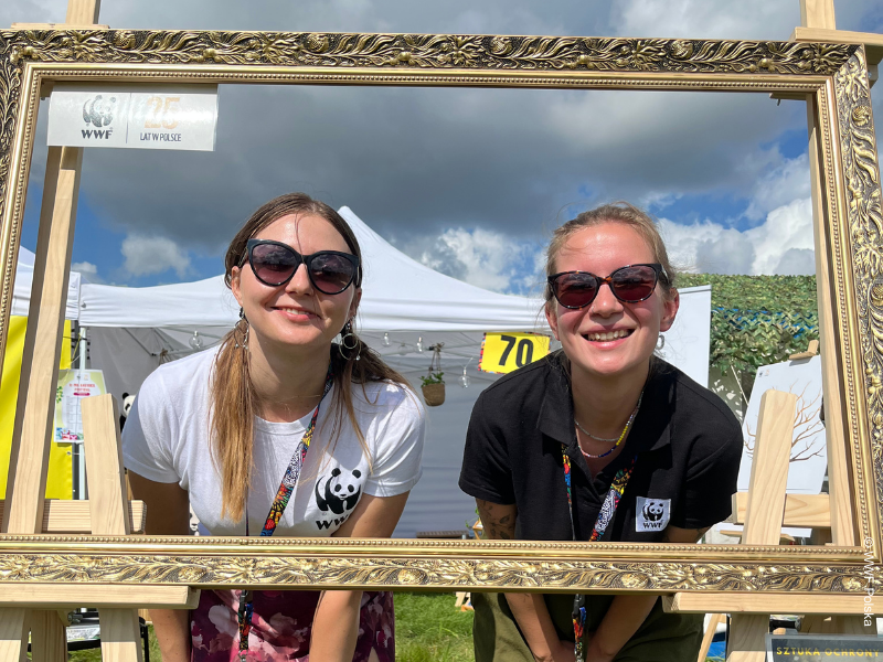 fundacja wwf na 31 edycji pol'and'rock festival