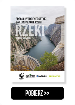 Raport o hydroenergetyca w Europie