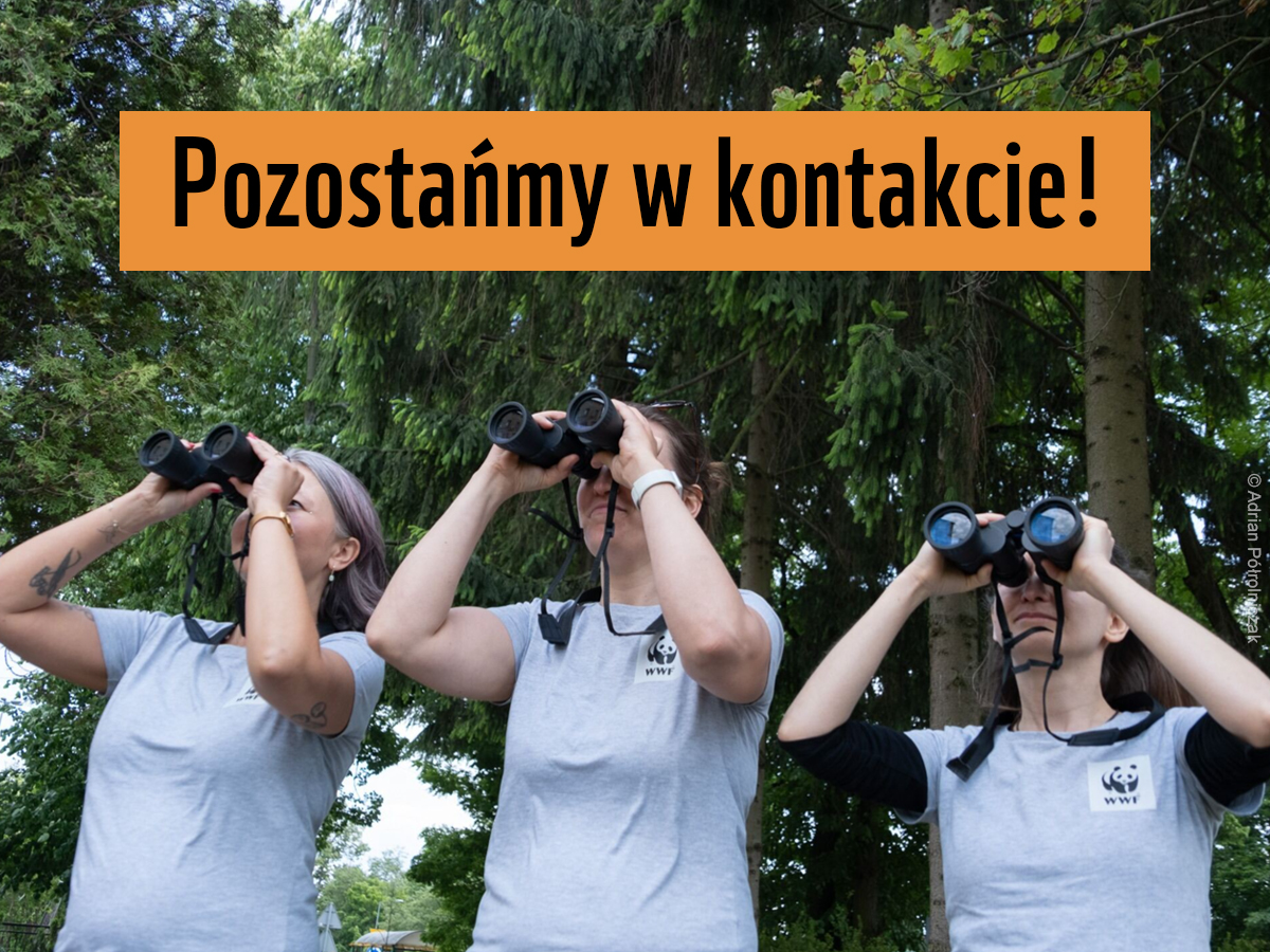 pozostańmy w kontakcie