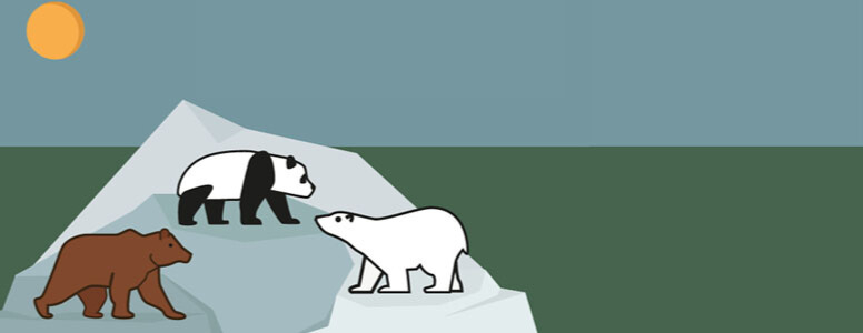 Program z Panda 1. edycja. Dowiedz się więcej