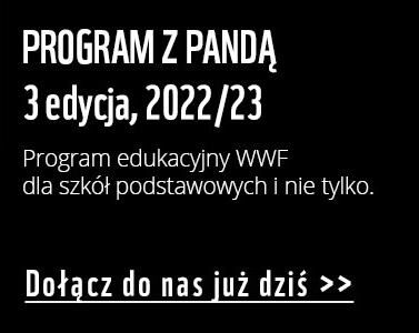 Program z Panda 3. edycja. Dowiedz się więcej