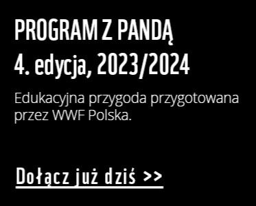 Program z Panda 4. edycja. Dowiedz się więcej