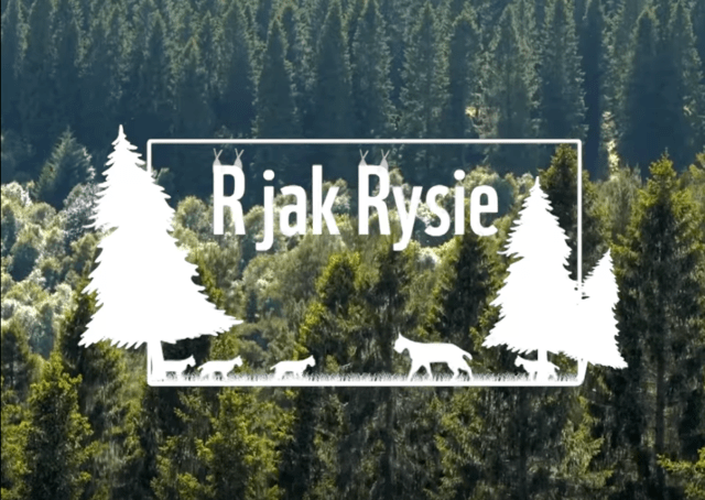 R jak rysie