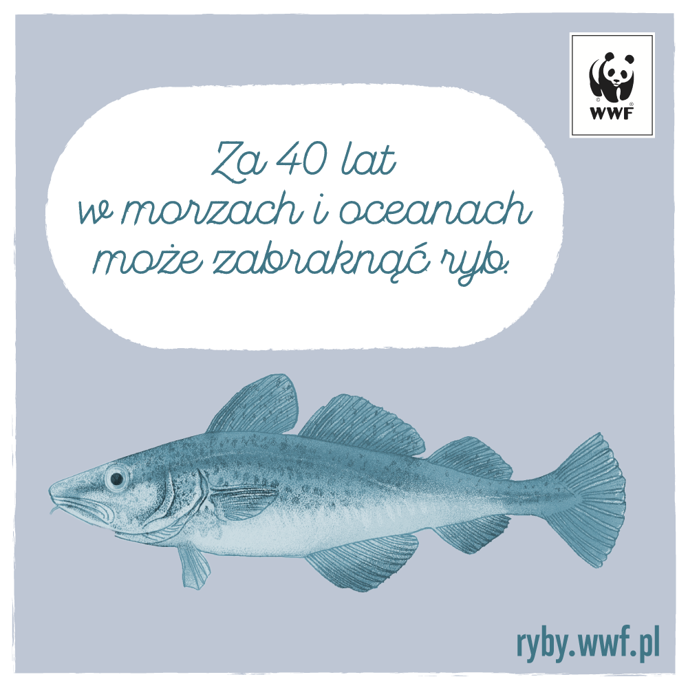 Jaka ryba na obiad? Poradnik konsumenta WWF