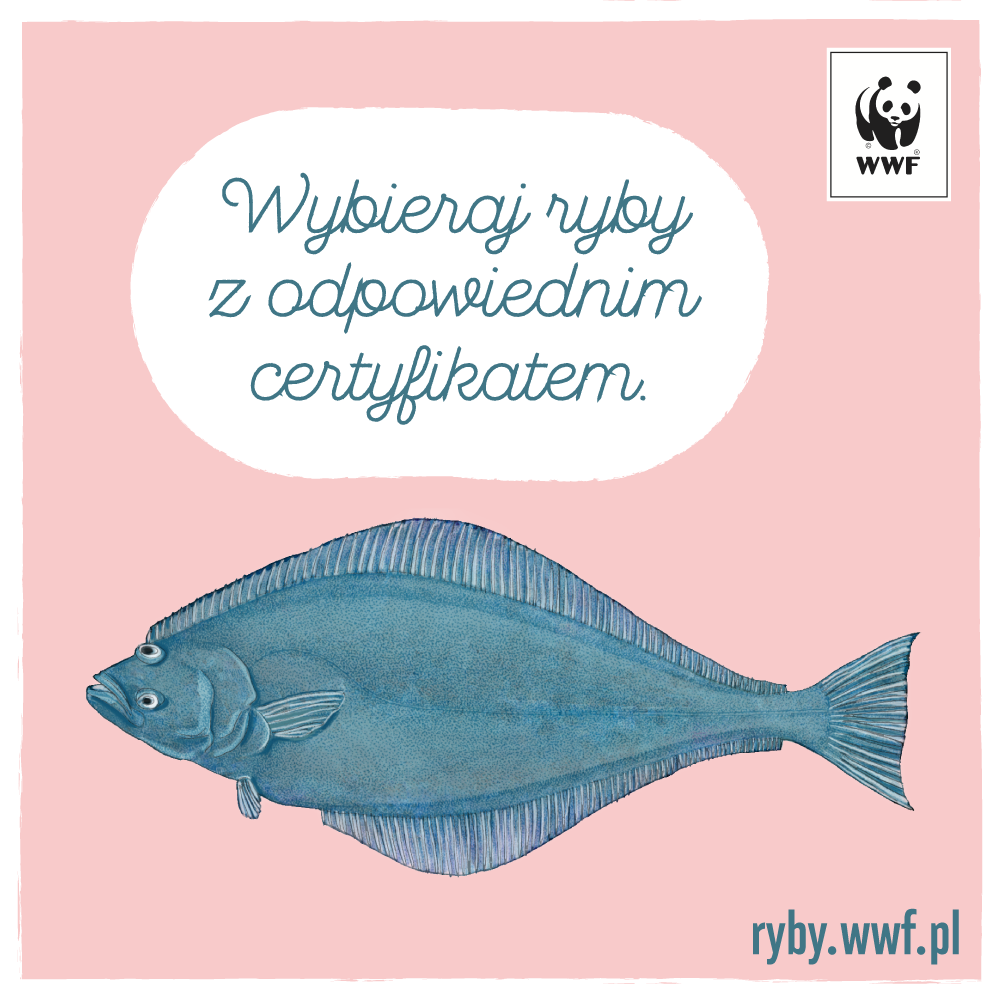 Jaka ryba na obiad? Poradnik konsumenta WWF