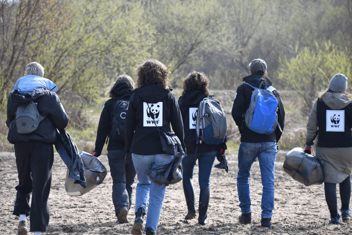 akcja sprzątania wwf polska
