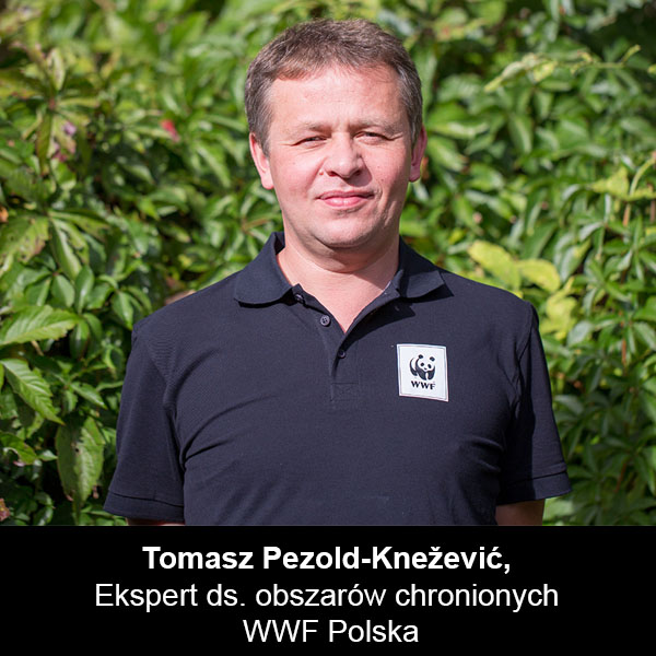 Tomasz