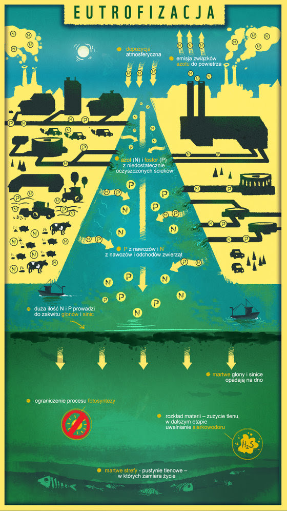 infografika