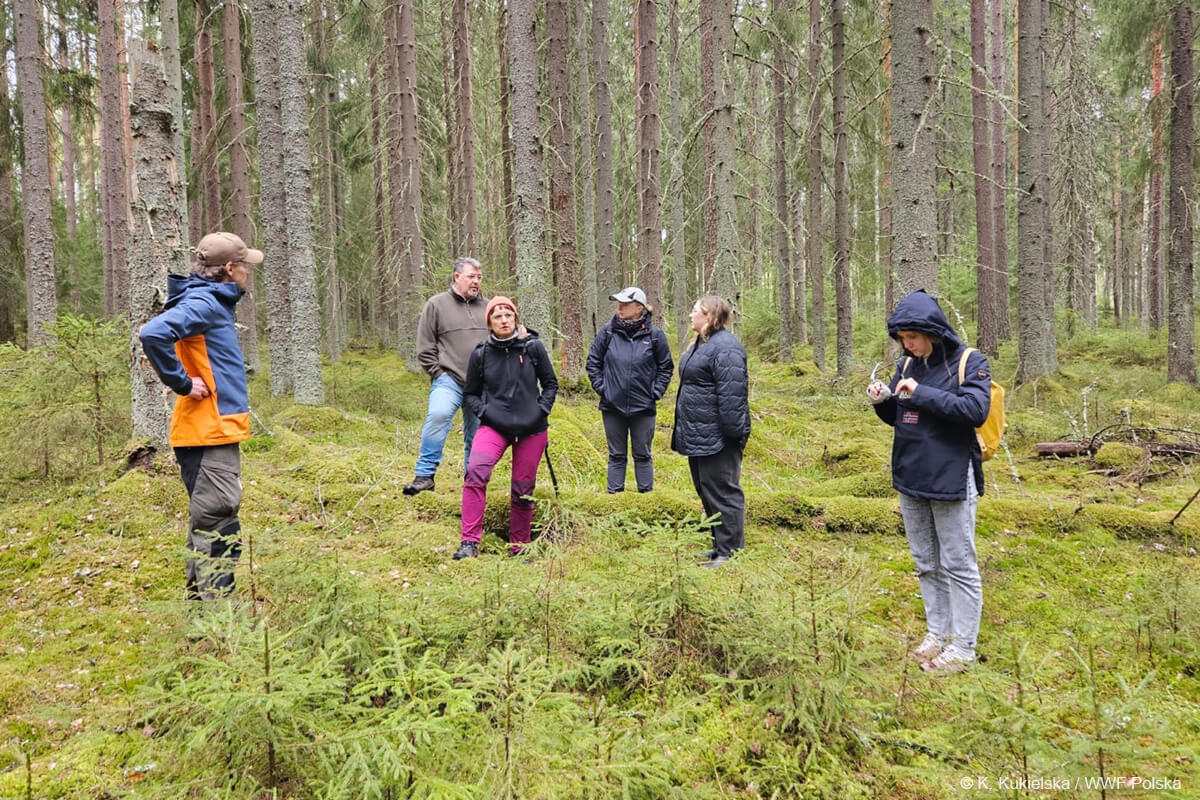 wizyta wwf polska w fińskim lesie