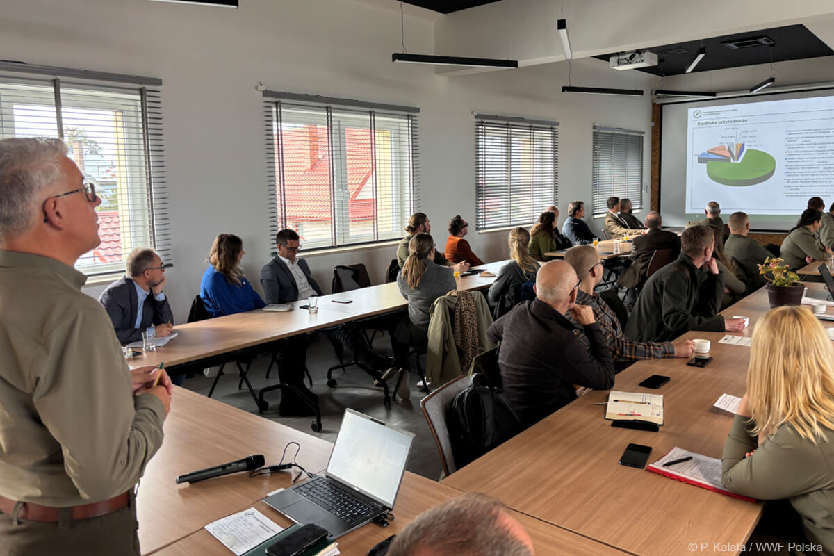 warsztaty projektu Life w Bielsku Podlaskim