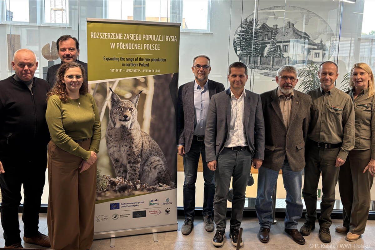 warsztaty - rozszerzenie zasięgu populacji rysia w północnej polsce