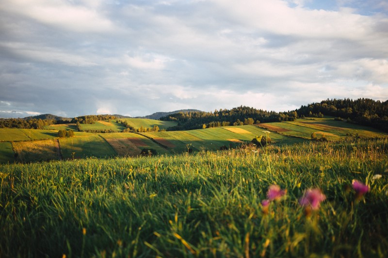 Panorama pół i łąki