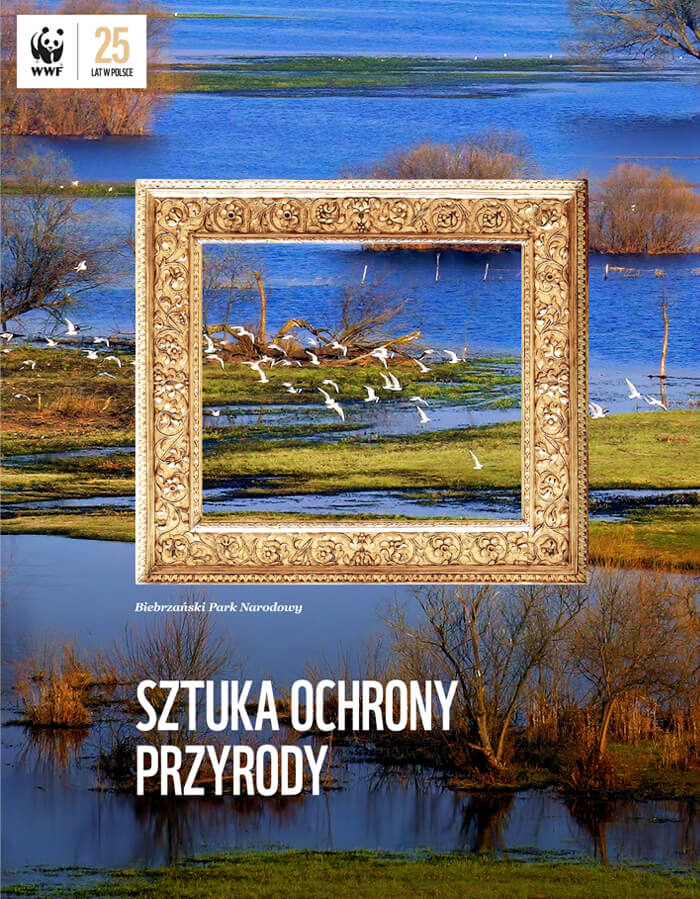 sztuka ochrony przyrody - biebrzański park narodowy
