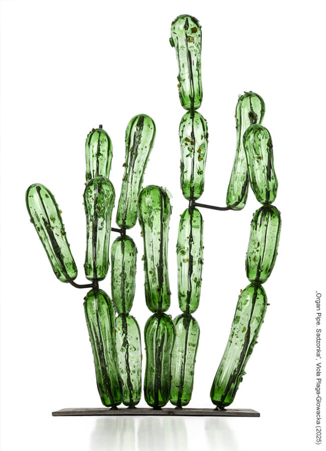 Organ Pipe. Sadzonka, Viola Plaga-Głowacka (2025) 