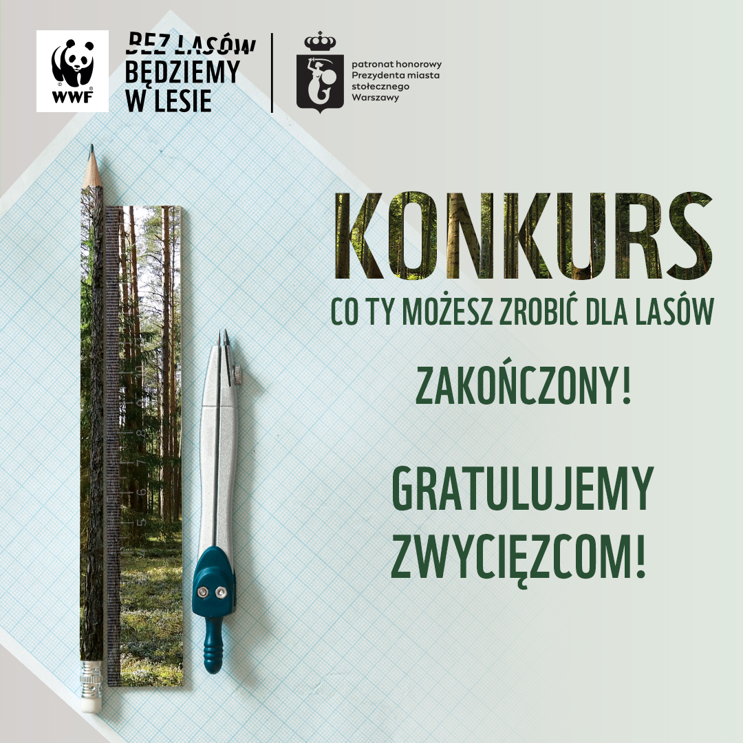 Konkurs
