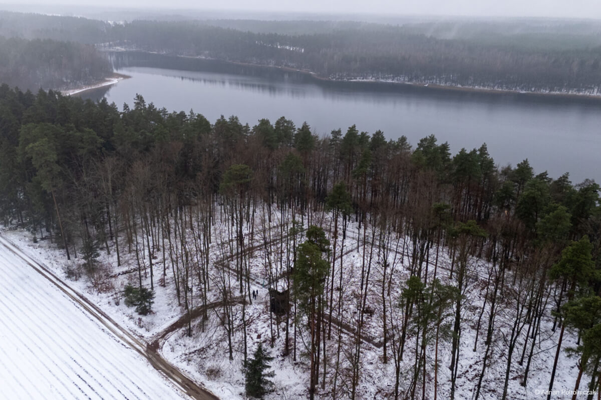 Ośrodek rehabilitacji rysi pod Spychowem